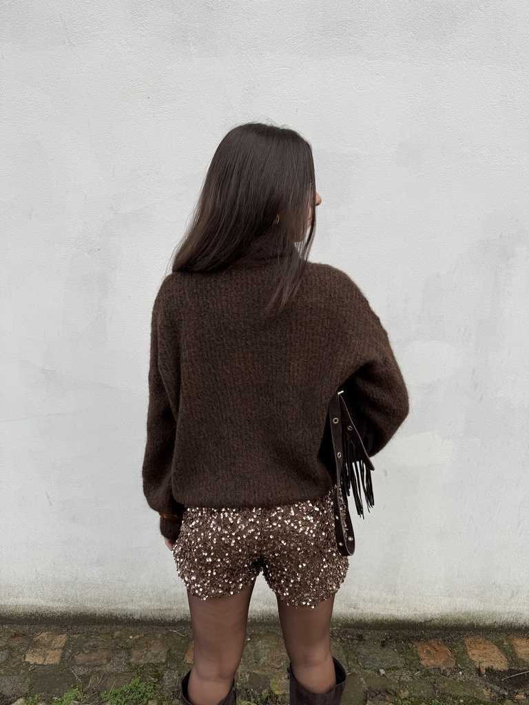 Pull Col roulé Anouk