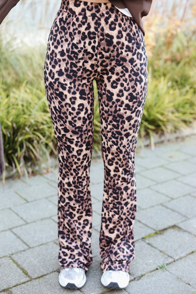 Legging Flare Graou 