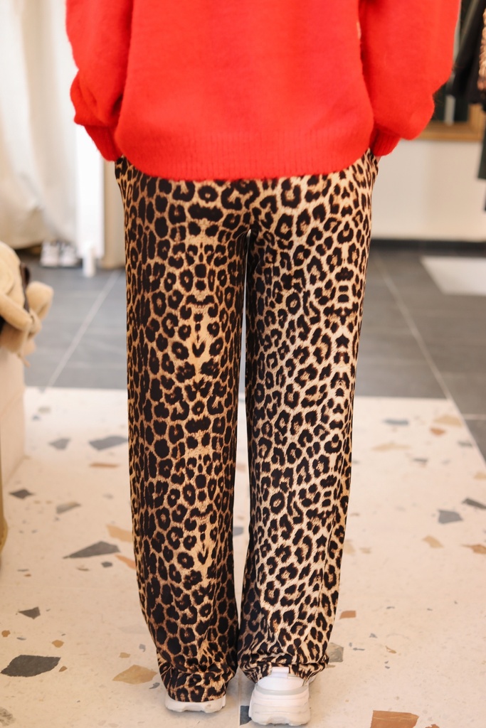 Pantalon fluide Wild