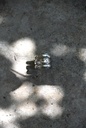 Bague Charlotte 
