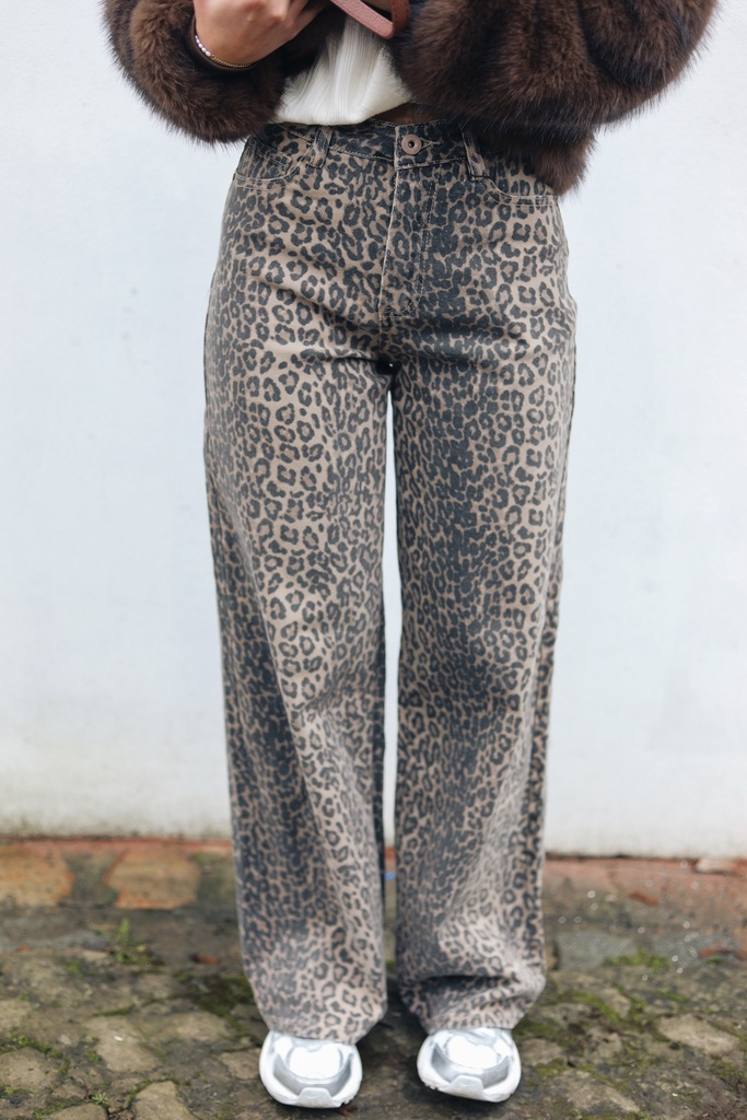 Jeans Vivi Léo (34)