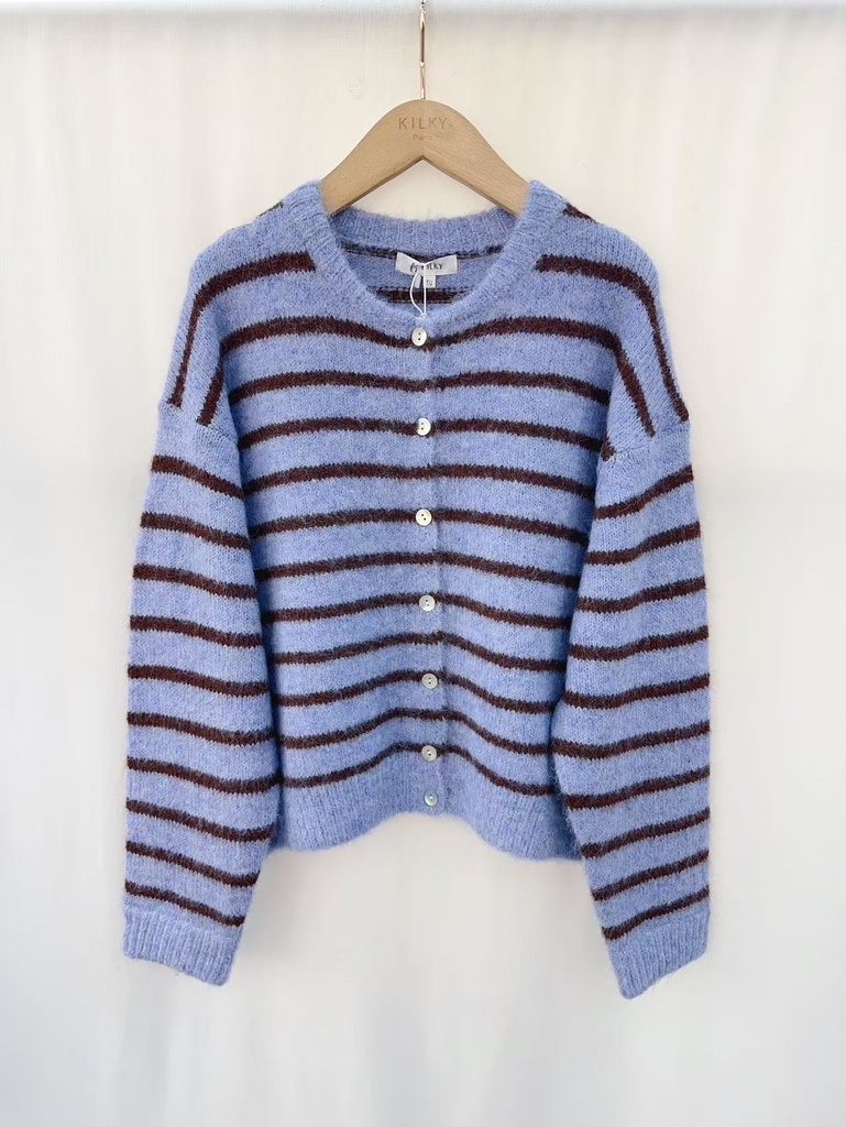 Cardigan Marine (bleu/choco) 