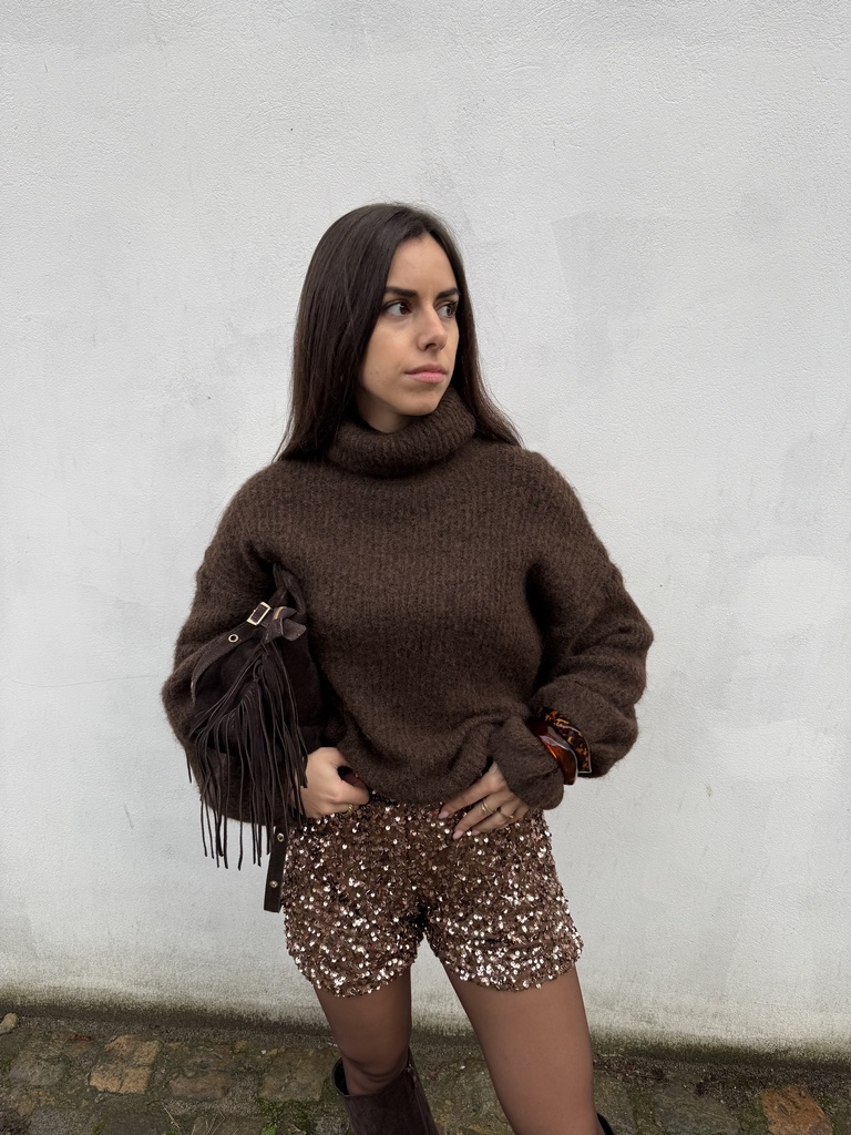 Pull Col roulé Anouk