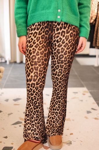 Pantalon flare Wild