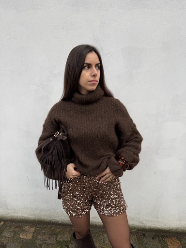 Pull Col roulé Anouk